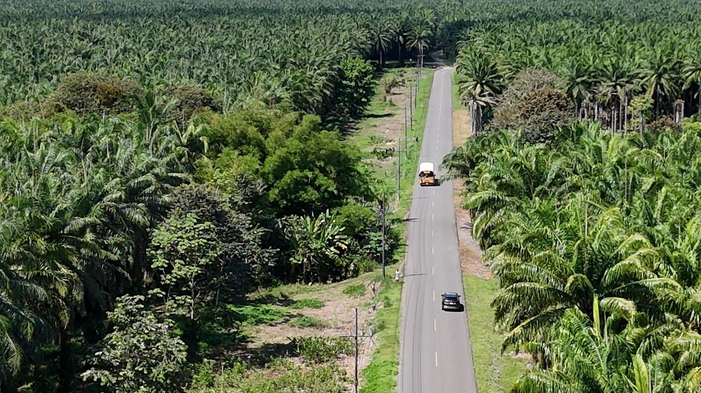 Dit maakt een fly drive in Costa Rica zo bijzonder