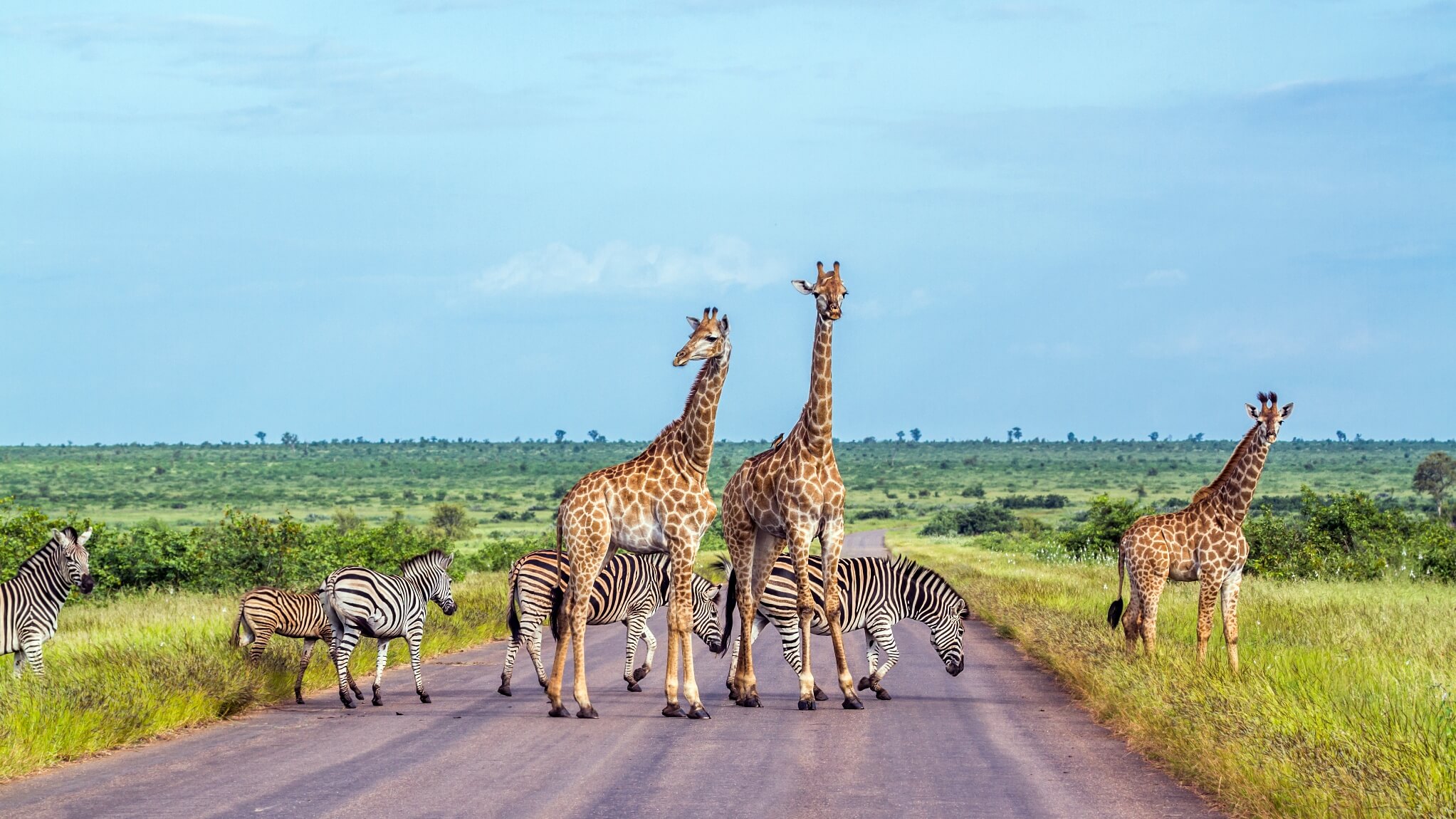 Zuid Afrika avontuur natuur en comfort