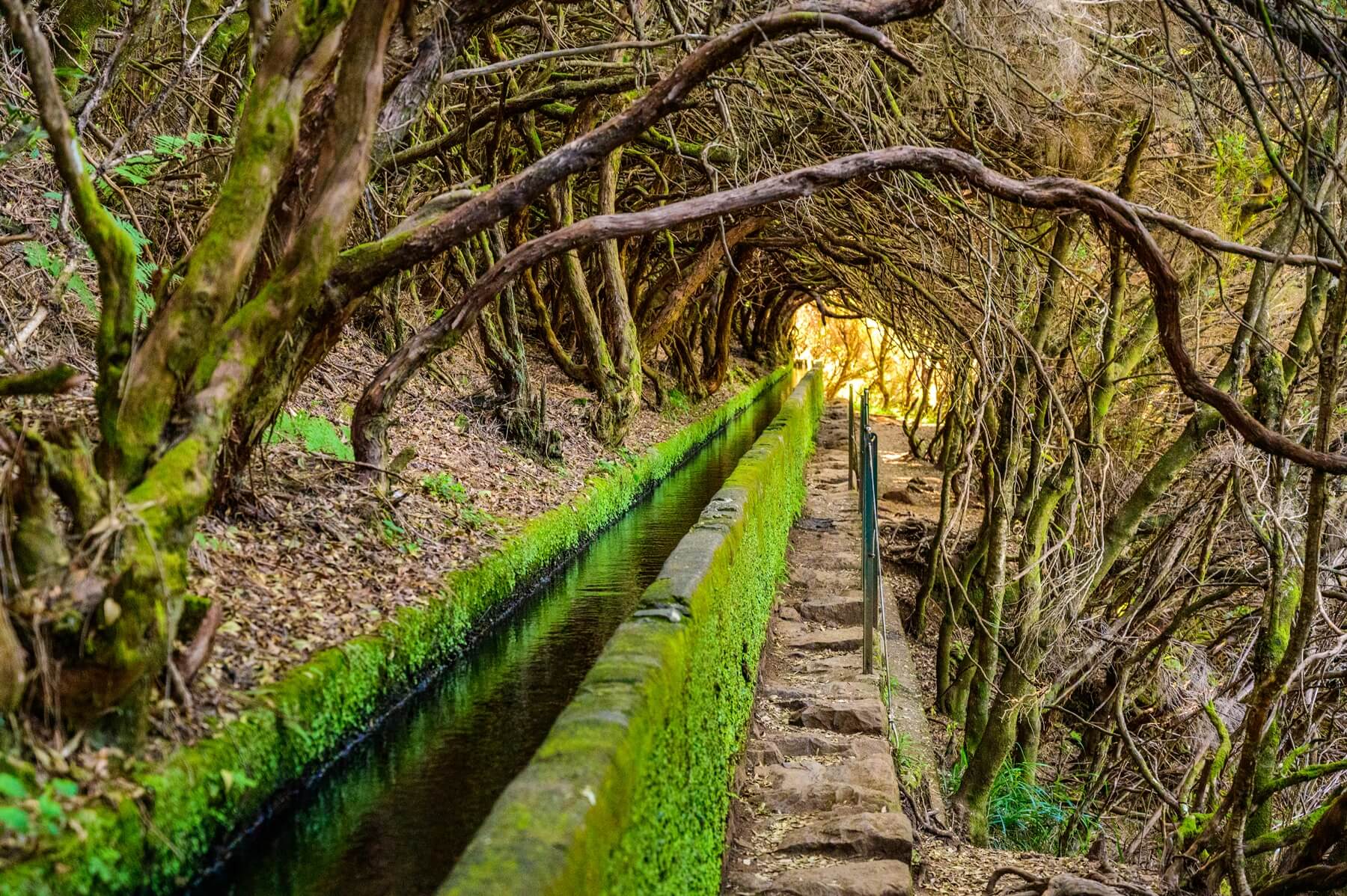 Levada das Fontes Madeira
