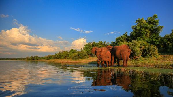 23-daagse Fly & Drive Adembenemend Zuid-Afrika