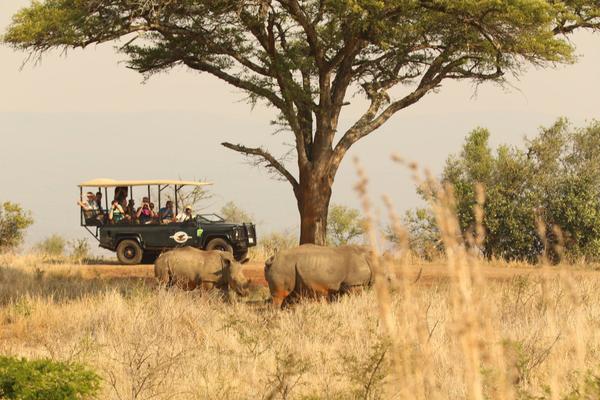 14-daagse Fly & Drive Hoogtepunten van Zuid-Afrika