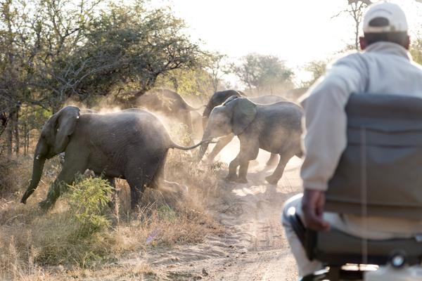 15-daagse Fly & Drive Grandioos Zuid-Afrika