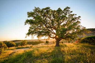 8-daagse Fly & Drive Portugal Algarve & Alentejo