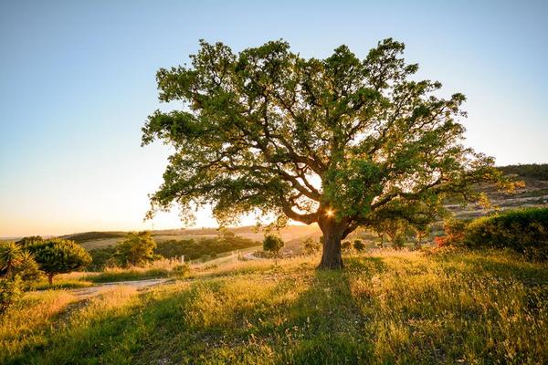 8-daagse Fly & Drive Portugal Algarve & Alentejo