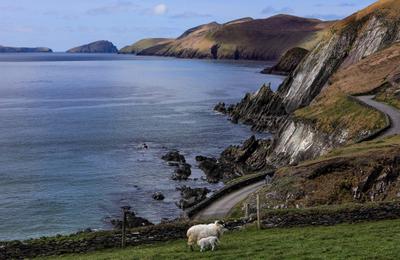 8-daagse Fly & Drive County Dublin