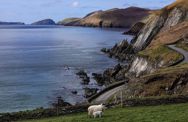8-daagse Fly & Drive County Dublin