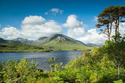Ontdek Ierland in 8 dagen