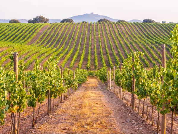 Algarve, Alentejo en Lissabon