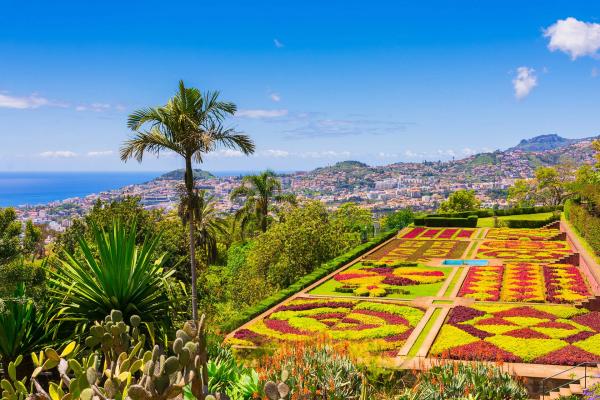 Mooi Madeira