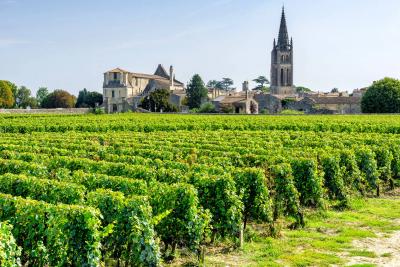Dordogne, wijn en Bordeaux