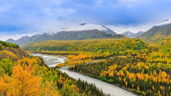 Grizzlyberen, fjorden en goudmijnen in Alaska