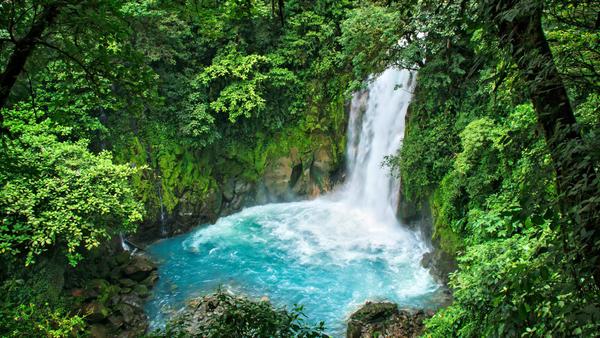 Vulkanen, apen en regenwouden in Costa Rica