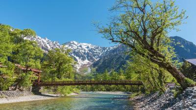 Experience the Japanese Alps