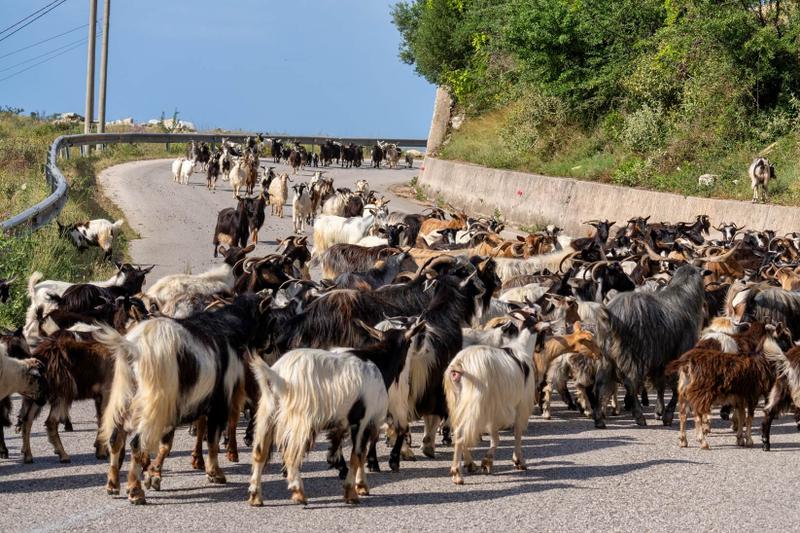 Fly drive Albanië: de praktijk