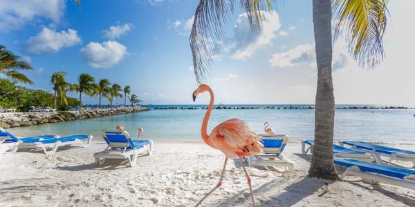 Aruba