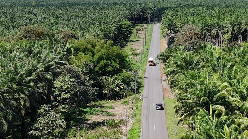 Dit maakt een fly drive in Costa Rica zo bijzonder