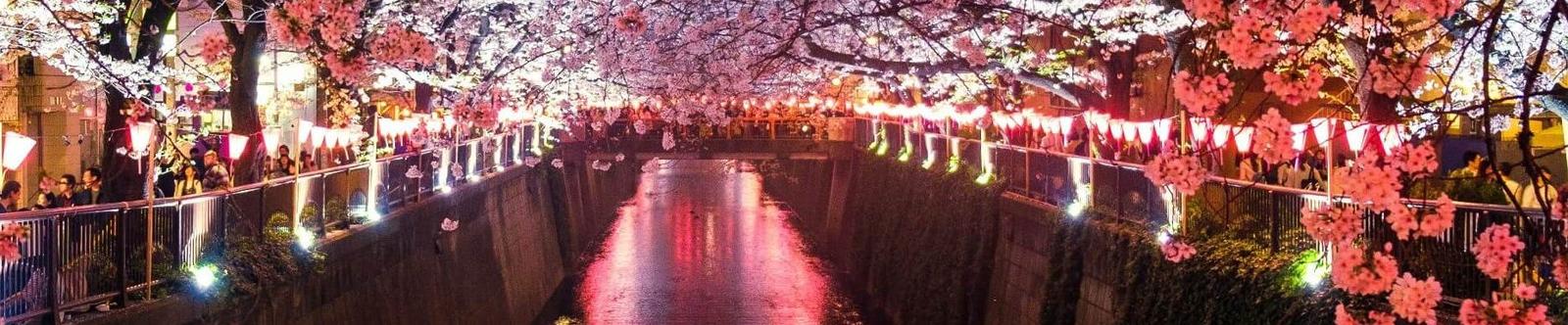 Vind jouw ideale fly drive op Japan
