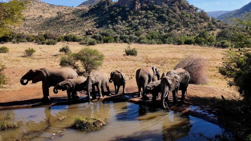 Namibië: woestijn, wildlife en kust