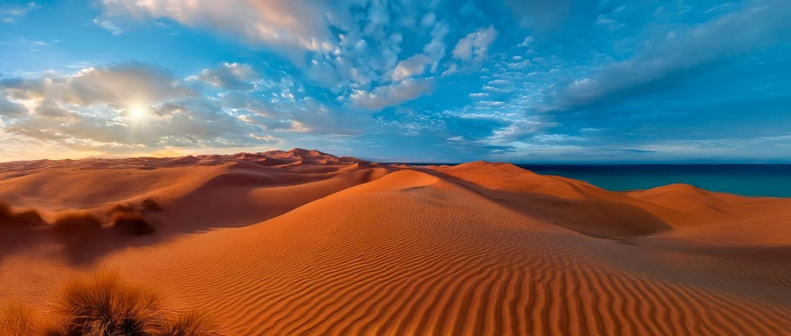 Vind jouw ideale fly drive in Namibië