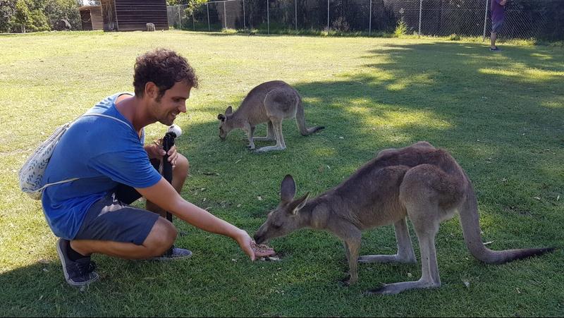 Hoe lang heb je nodig voor een fly drive in Australië?