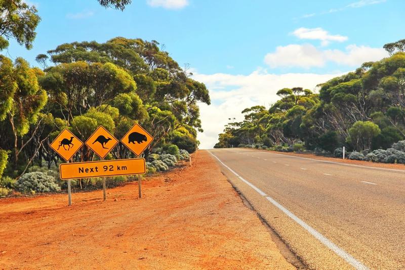 Beste reistijd voor een fly drive in Australië